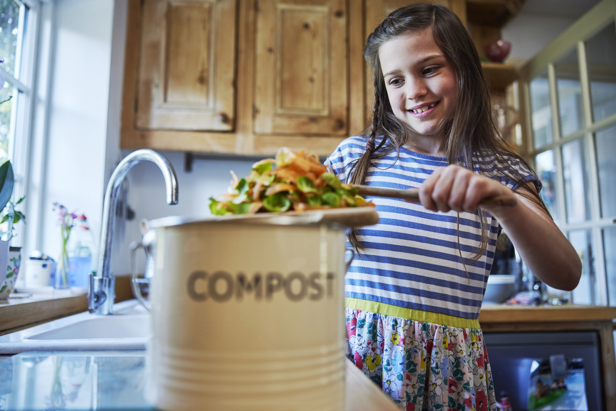 kitchen renovation compost