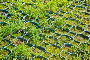 Grass grid driveway.jpg